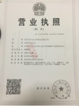 審計(jì)專員