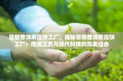 昆明普洱茶壓餅工廠,揭秘昆明普洱茶壓餅工廠:傳統工藝與現代科技的完美結合